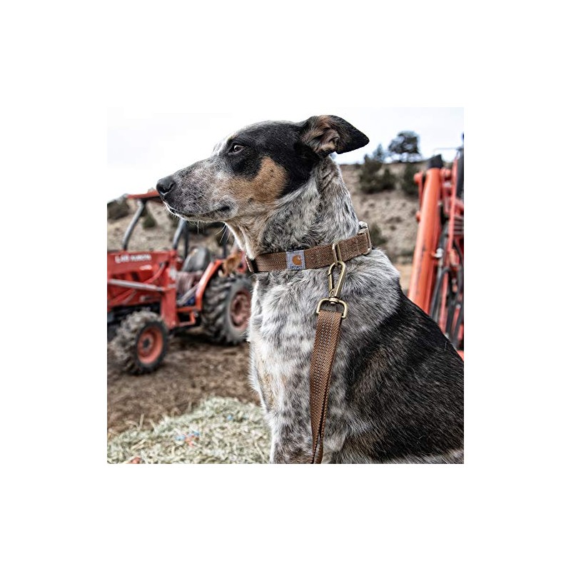 Carhartt Unisex's Tradesman Leash, Black, S