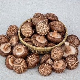 Muan Raw Shiitake Mushroom Ugly 1kg / 무안 생 표고버섯 못난이 1kg
