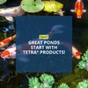 TetraPond UVC-5 GreenFree UV Clarifiers For Up To 660 Gallons,