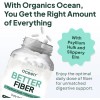 Organics Ocean Better Fiber - Daily Supplement - Soften Stool