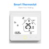 Wi-Fi Smart Thermostat Temperature Controller APP Control 5A Compatible with