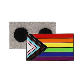 Pride Progress Ansteck-Pin