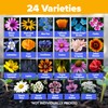 HOME GROWN 90,000+ Wildflower Seeds 3oz 𝗡𝗢𝗡-𝗚𝗠𝗢, 𝗨𝗦𝗔-𝗦𝗢𝗨𝗥𝗖𝗘𝗗 Heirloom Perennial