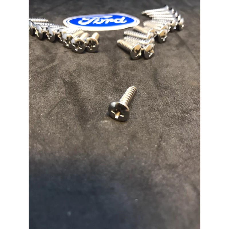 Ford 1967-1972 Ford Truck Metal Door Panle Screws