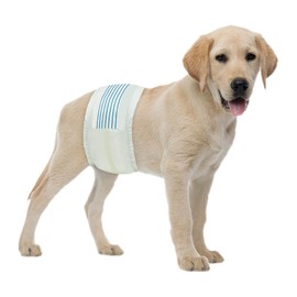 BV Dog Diapers Male Medium (Waist 13-23in) Super Absorbent - 50 Count Disposable - Doggie Diapers with Wetness Indicator - Adjustable Male Dog Wraps - Ideal for Incontinence/Training