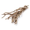 NaDeco Tea Bush Branches Natural, Length Approx. 50 cm, Tea
