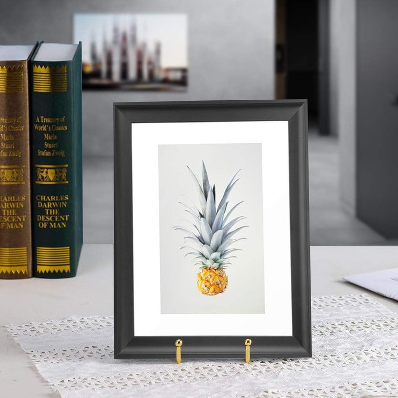 Taicols Display Stand, 4 Pcs Metal Plate Stands for Display,