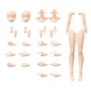 30MS Optional Body Parts, Arm & Leg Parts, Color A,