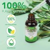 Aceite Romero Crecimiento Capilar Pestañas Cejas Stock Caída de 30mL