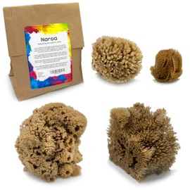 Naroa Artist Natural Sea Sponges for Painting 4 Pack | Unique Tool Set Unbleached | Great for Artists & Children | Acrylic, Watercolor, Marbling, Texturing, Pottery, Ceramics