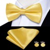 Hi-Tie Men Suspender Bowtie Set Suspenders Pre-tied Bow Tie Pocket