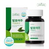 셀메이드 발효여주추출물정 1병 Selmade Fermented Bitter Melon Extract Pills 1 Bottle