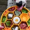 Honeycomb Design Enrichment Slow Feeder Bowl for Dogs - Color:
