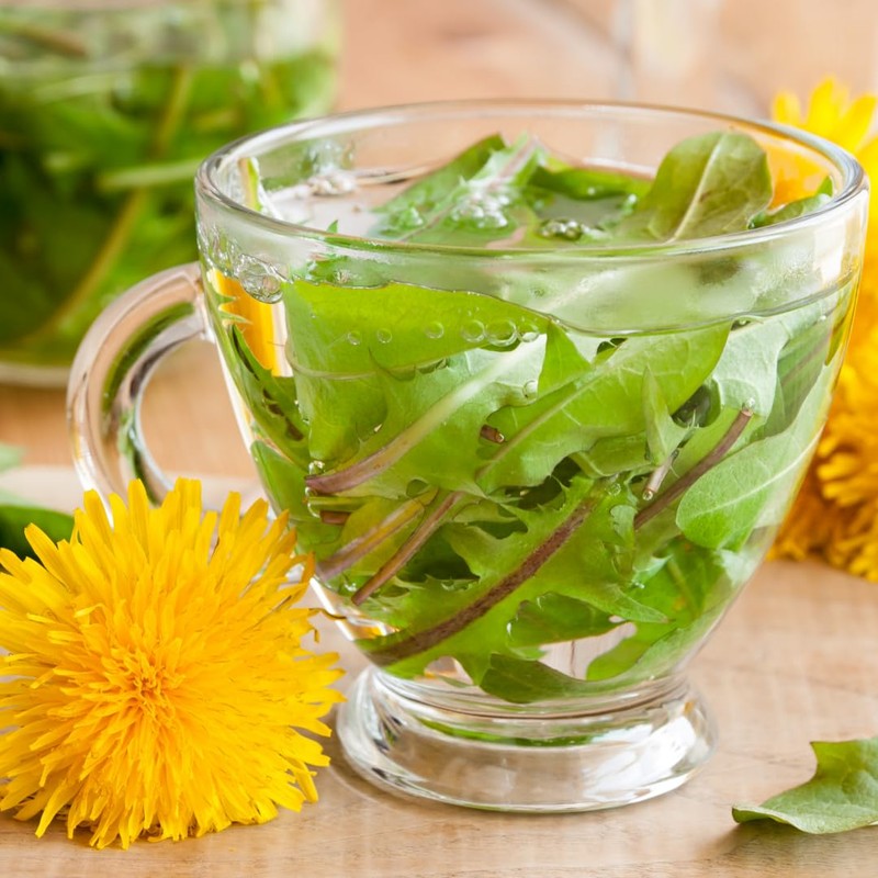 Dandelion Tea (500g, 1.1lb), Cut Dandelion Leaves, Gently Dried, 100%