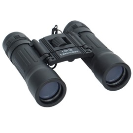 FLYAMAPIRIT Mini Fernglas Teleskop Faltbares 12X30 HD Fernglas mit Tragegurt und Tragetasche für Vogelbeobachtung, Konzerte, Oper, Sport und Reisen