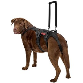 OneTigris Arnés de Soporte para Patas Traseras de Perro, Sling de Levante para Perros Grandes, Soporte de Cadera para Caninos Ideal para Mayores, Lesiones o Artritis – Proporciona Soporte Esencial