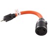 AC WORKS 1 ft. 15 Amp Household Plug to L14-30