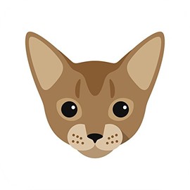 Divine Designs Cute Abyssinian Kitty Cat Vinyl Decal Sticker (12" Wide)