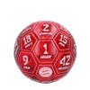 FC Bayern München Ball | Football | Signature 2024-25 |