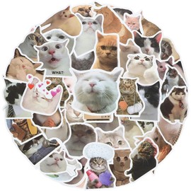 100 PCS Cute Cat Stickers, Funny Meme Cat Stickers Pack, Waterproof Vinyl Stickers for Kindle Water Bottles Skateboard Guitar Snowboard Luggage for Cat Lovers