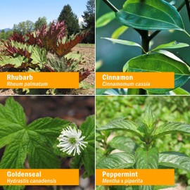 Herb Pharm Neutralizing Cordial Liquid Herbal Formula for Digestive System Support - 1 Ounce