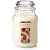 Yankee Candle French Vanilla Scented Classic 22oz Large Jar Single