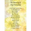 True Friendship Poem Verse Greeting Card
