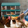 COOLYI Nesting Boxes for Chickens, 8 Hole Roll Away Nesting