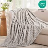 RUIKASI Fleece Throw Blanket for Sofa - Beige Single Fluffy