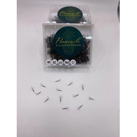 500 Wispy Premade Volume Lash Fans – Single Length | False Eyelash Extensions Supplies for Lash Artists | Narrow Base, Handmade, Lightweight Promade Volume Fans + Premade Spike | Handmade by Pinneacle Lash | 0.07 (5D | C curl | 15mm)