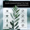 Botanist Botanical Treatment (Smooth) 17.2 oz (490 g) Renewal from