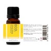 ECO. Modern Essentials Ylang Ylang Pure Essential Oil, 10ml