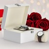 BAOPEND Noble Large Single Watch Gift Box for Men Women,