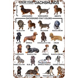 Xiddxu Metal Vintage Tin Sign Decor Dachshunds Wall Decor Vintage Home Wall Decoration Bar Kitchen Home Cafes Sign 12x16 Inch Plaque