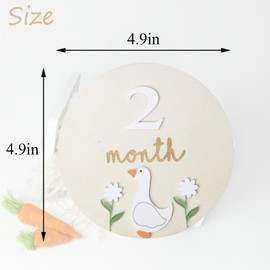 Goose Monthly Milestone Cards, Baby Wooden Milestone Discs, 3D Baby Monthly Milestone, Baby Shower, Baby Announcement Sign