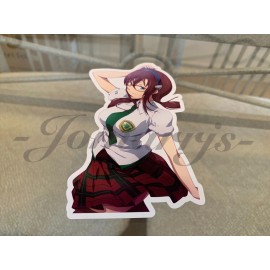 Neon Genesis Evangelion Mari Theory Sticker Decal