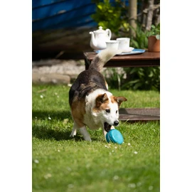 Petface Macaron Latex Dog Toy (Pack of 1)