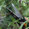 Siena Garden Boxwood secateurs 389283