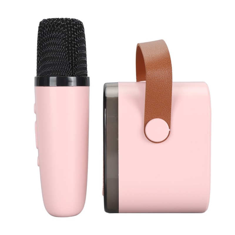 Portable Karaoke Machine LED Dynamic Light Small Bluetooth Speaker with