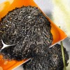 Schrader Tea No. 11 | Black Tea | Typical Russian