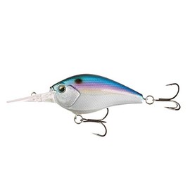 Cliff Banger - Crankbait - 12ft - Fantasy Shad