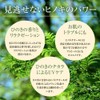 Hinoki mud charcoal facial soap, refreshing type (75g x 3