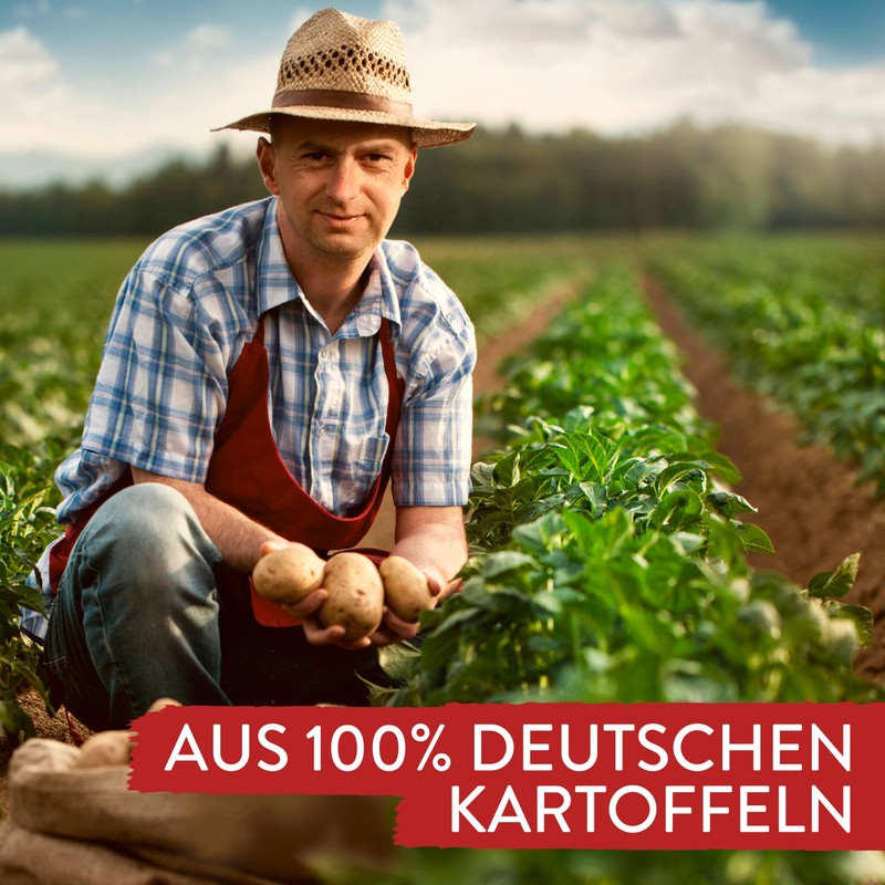 Pfanni Bratkartoffeln 400g/14.1oz Instant Fried Potatoes