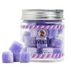 Bear Necessities Gourmet Sugar Cubes – Lavender Infused Sugar Cubes