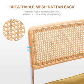 Zesthouse Natural Rattan Bar Stools Set of 2, 26'' Modern Counter Height Stools, Yellow Velvet Counter Height Chairs with Solid Wood Back, Mid Century Cantilevered Design Bar Chairs for Kitchen Island