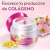 Crema Facial Rosa Mosqueta Vitamina E Manchas Anti Edad Pak