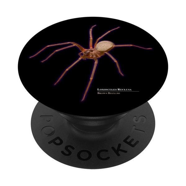 Brown Recluse Spinne Loxosceles Reclusa PopSockets mit austauschbarem PopGrip