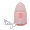 Facial Steamer with 100ml Water Tank Moisturizing Cleaning Pores Mist