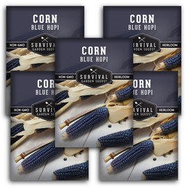 Blue Hopi Corn Seeds for Planting - 5 Packets with Instructions to Plant and Grow Heritage Blue Maize in Your Home Vegetable Garden - Non-GMO Heirloom Variety - Survival Garden Seeds