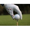 DEGA Golf Gloves 2 Pack 100% Cabretta Leather Golf Glove